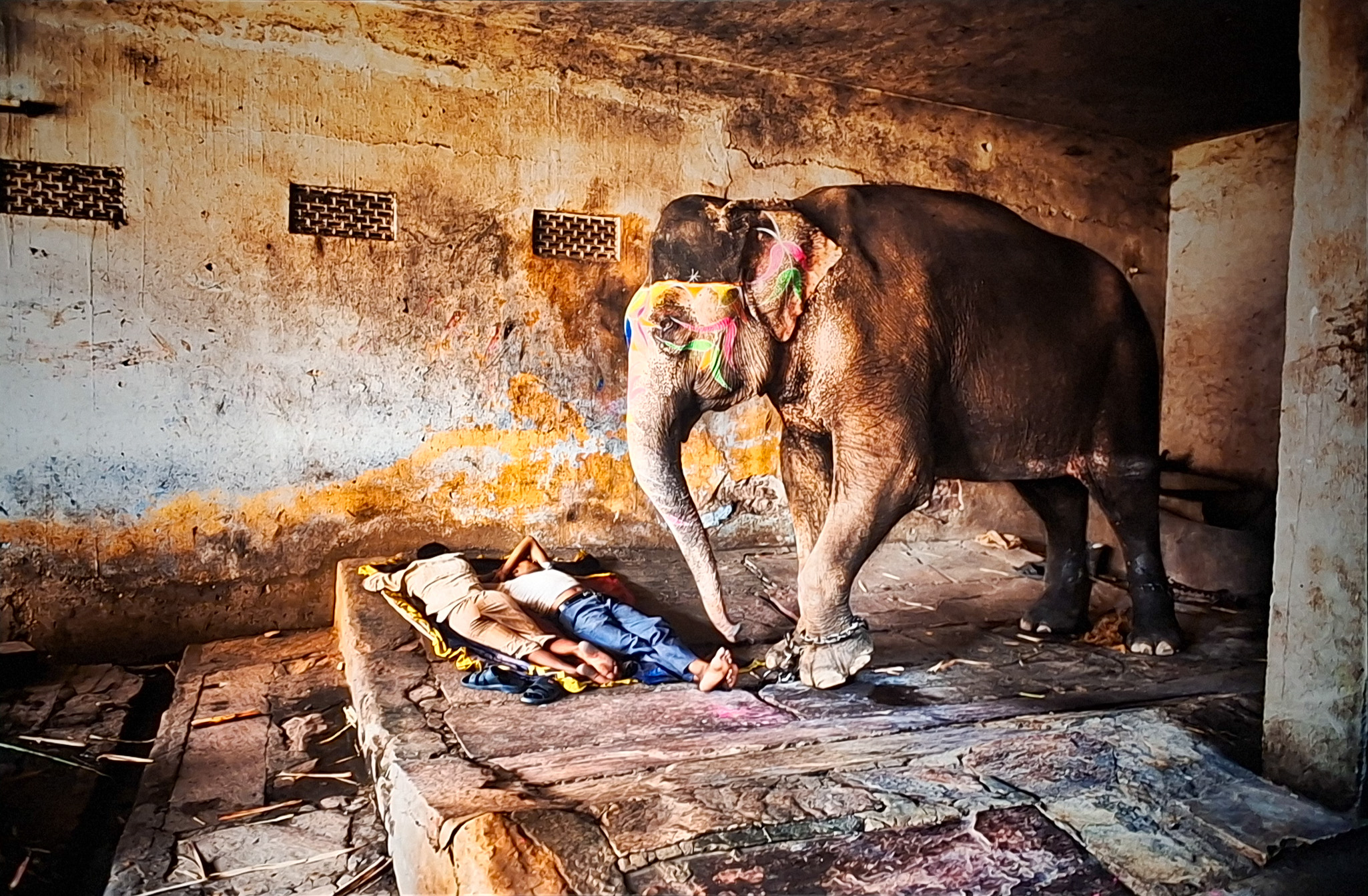 Móvil 20260613 Steve McCurry 126